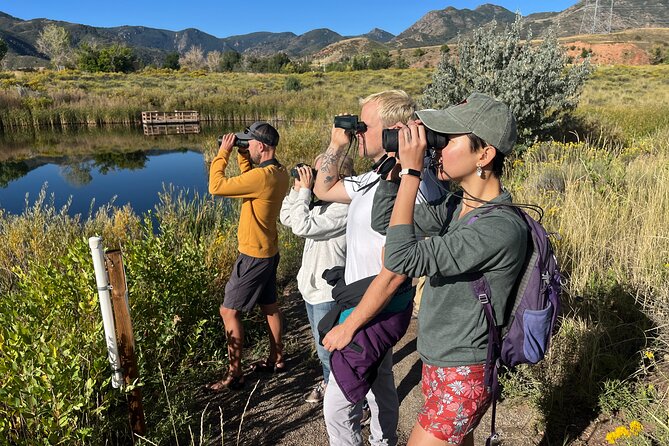 2 Hours of Mindful Bird Watching near Denver - Key highlights worth planning around