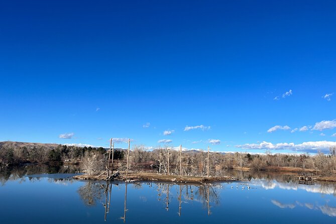 2 Hours of Mindful Bird Watching near Denver - Binoculars and field guides: the gear that makes birding click