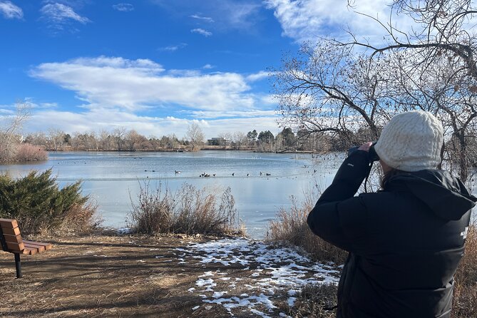 2 Hours of Mindful Bird Watching near Denver - Mindful bird watching: why it helps your brain (and not just your camera roll)