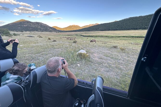 A Rutin' Good Time; Elk Tour in Rocky Mountain National Park - Key Highlights You’ll Feel During the Tour