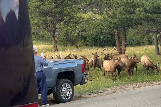 A Rutin' Good Time; Elk Tour in Rocky Mountain National Park - The Estes Park Stop: Why the Town Matters to the Elk Story