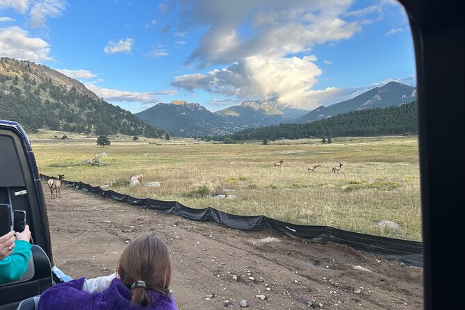 A Rutin' Good Time; Elk Tour in Rocky Mountain National Park - Price and Value: What $156 Really Buys