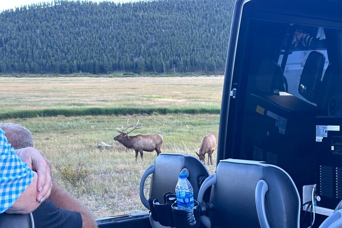 A Rutin' Good Time; Elk Tour in Rocky Mountain National Park - Group Size, Pace, and the Laid-Back Style