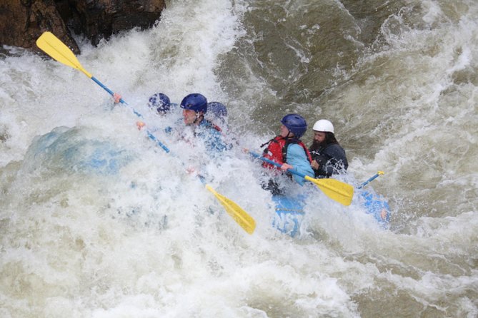 Advanced Whitewater Rafting in Clear Creek Canyon near Denver - Who this advanced Clear Creek trip is best for