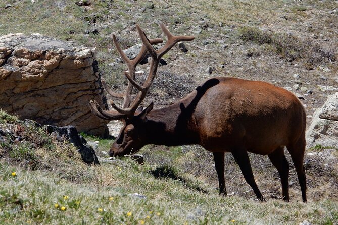 Bear Lake Road Rocky Mountain National Park Private Tour - What You Get from Brandon or Kerry (and Why It Matters)
