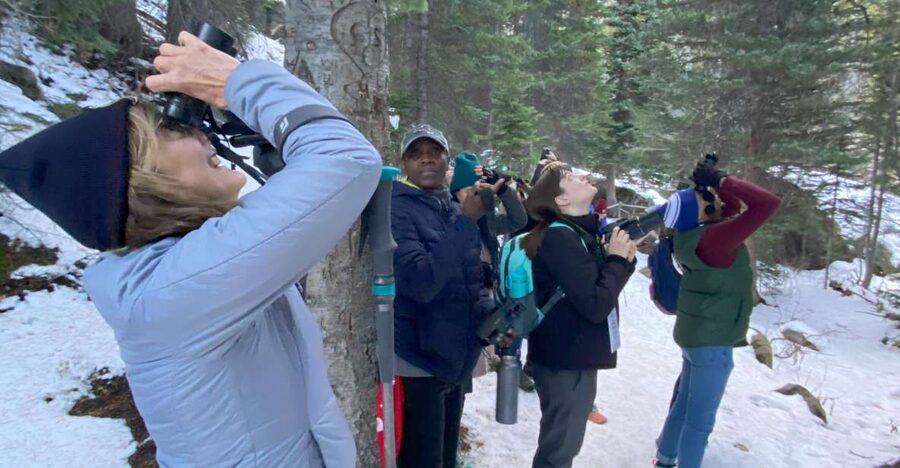 Birding Hike and Hot Spring Soak from Denver - Glacier Hike and Birding in Spruce-Fir Forest