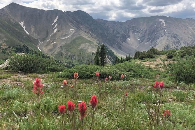 Breckenridge Ultimate Full Day Mountain Tour from Denver - Sapphire Point Overlook: A Short Walk That Pays Off