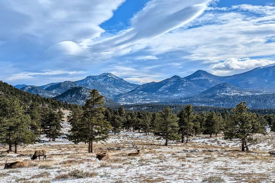 Denver/Boulder: Rocky Mountain National Park Tour - The guide factor: stories that make the scenery make sense