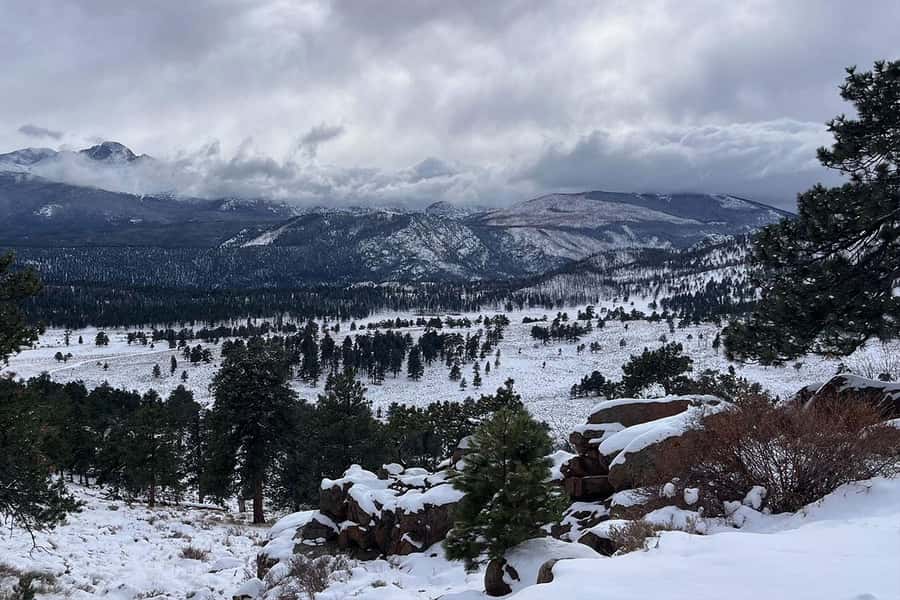 Denver/Boulder: Rocky Mountain National Park Tour - How the small group changes your odds (and your comfort)