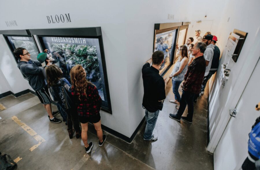 Denver: Buds & Brews Cannabis Grow Tour and Brewery Visit - Downsides to consider: cancellations and real-world timing