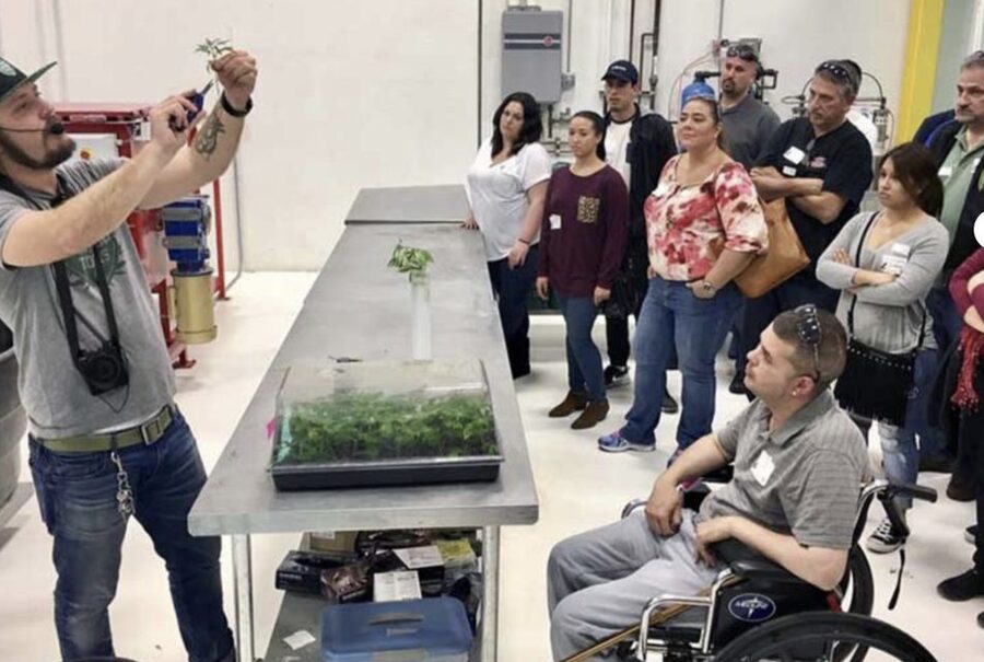 Denver: Cannabis Tour with Grow Facility Access - Key Highlights That Matter