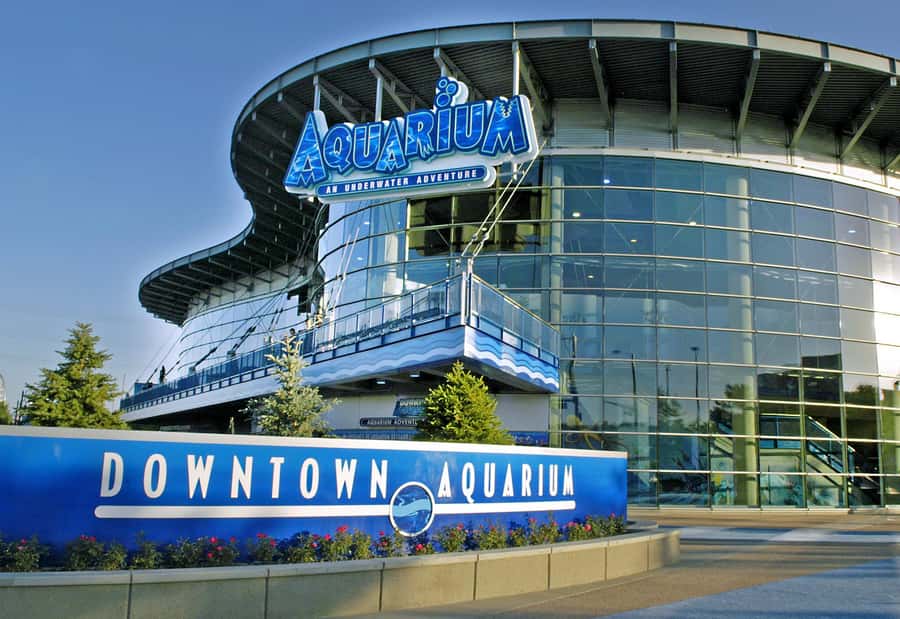 Denver: Downtown Aquarium All-Day Pass - Key highlights