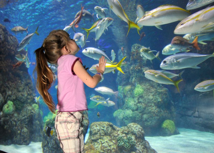 Denver: Downtown Aquarium All-Day Pass - Price and value: is $27 a smart deal in Denver?
