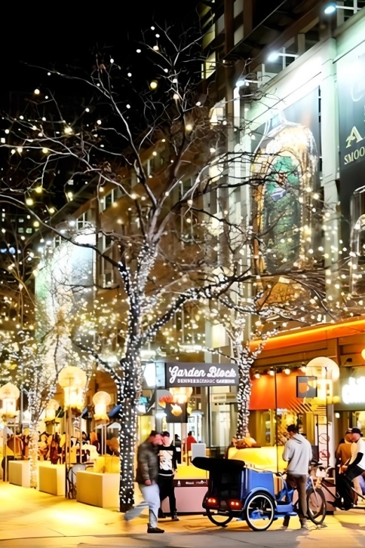 Denver: Holiday Lights & Sights Bus Tour - Why this Denver Holiday Lights Tour Works in 2 Hours