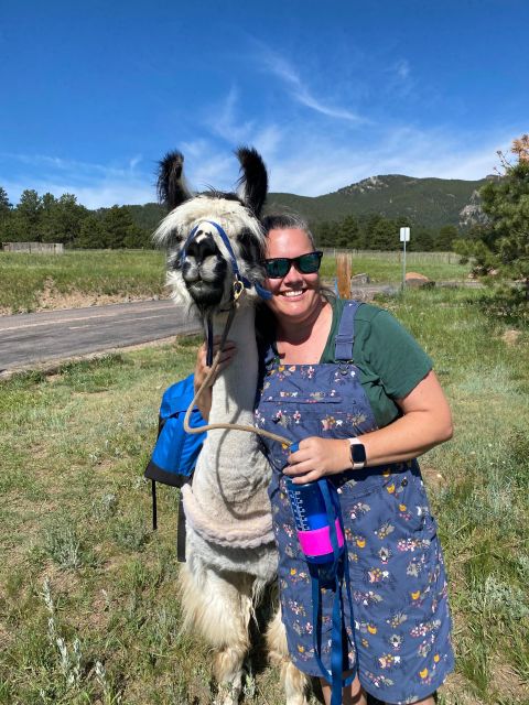 Denver: Llama Hike in the Rocky Mountains - Should You Book This Denver Llama Hike?