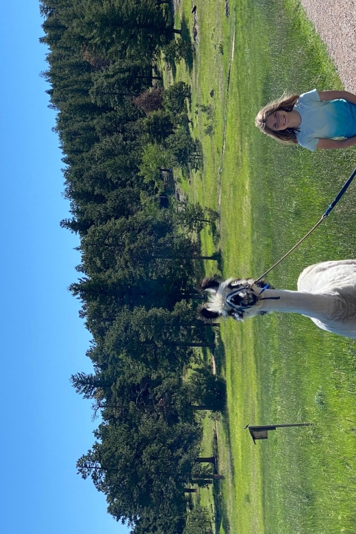 Denver: Llama Hike in the Rocky Mountains - Why This Llama Hike Works So Well From Denver
