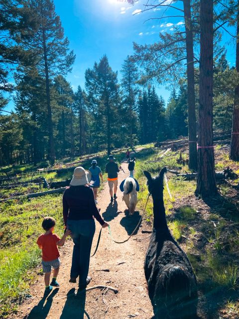 Denver: Llama Hike in the Rocky Mountains - Meet the Guides and Your Llama Team (Kara, Brent, and Friendly Names)