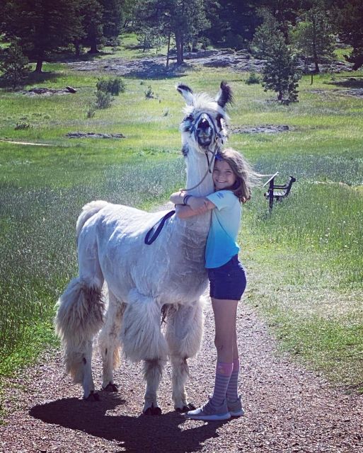 Denver: Llama Hike in the Rocky Mountains - Difficulty, Altitude, and What to Bring to Stay Comfortable