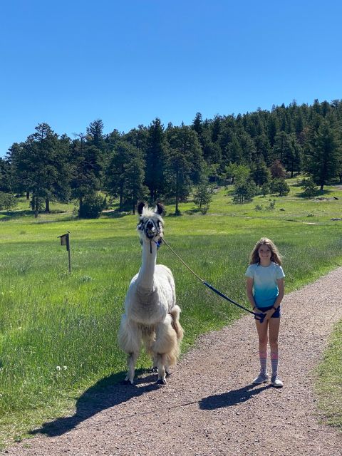 Denver: Llama Hike in the Rocky Mountains - Price and Value: Is $150 Per Person Worth It?