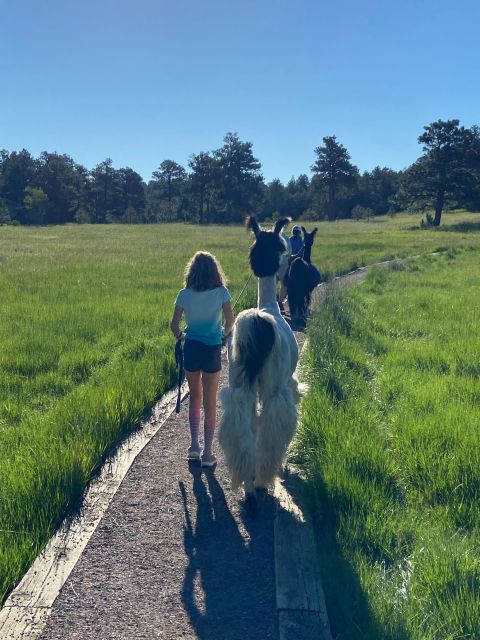 Denver: Llama Hike in the Rocky Mountains - Who Should Book (and Who Might Skip It)
