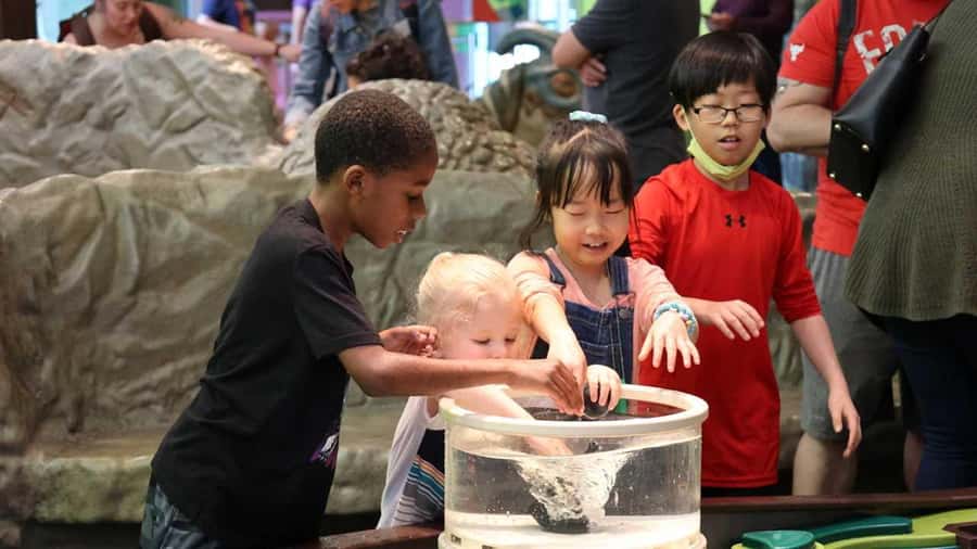 Denver: Museum of Nature and Science Entry Ticket - Quick hits before you go