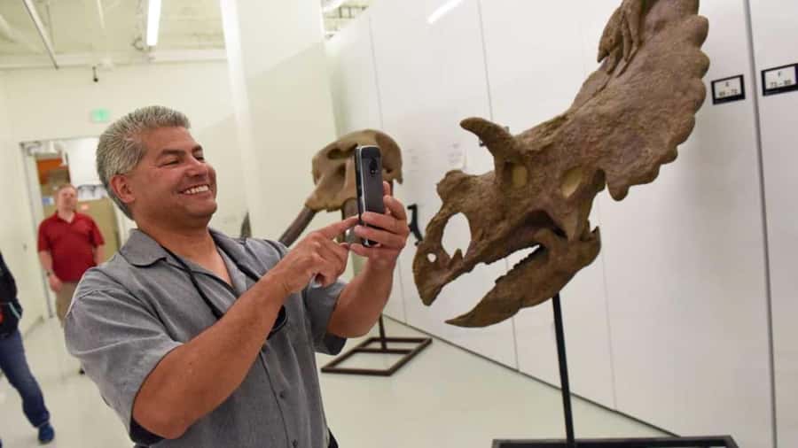 Denver: Museum of Nature and Science Entry Ticket - Your one-day entry ticket and what $26 buys you