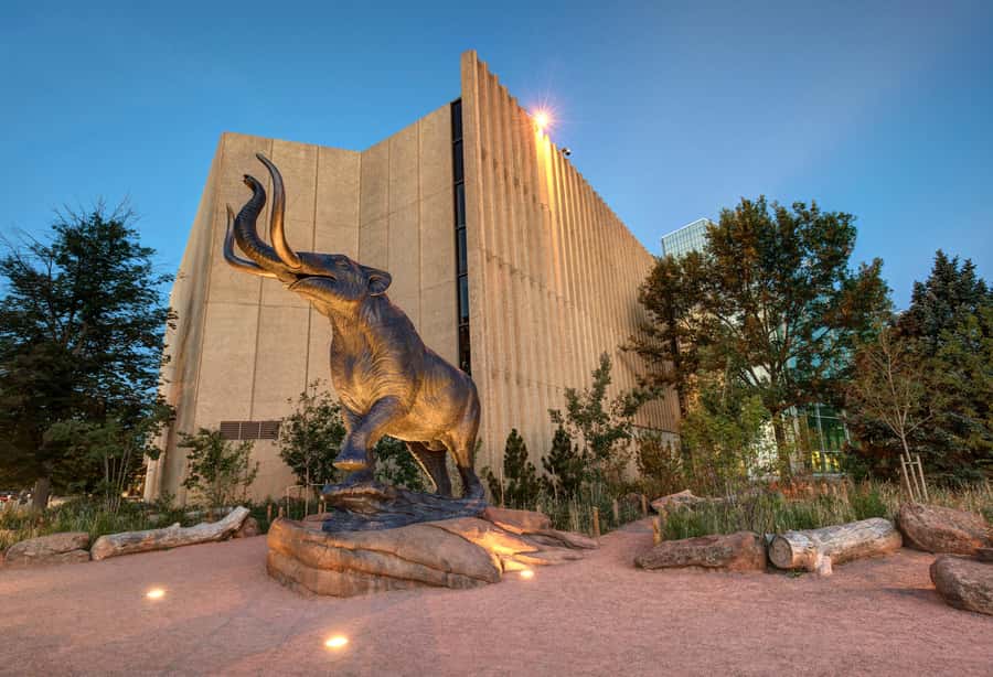 Denver: Museum of Nature and Science Entry Ticket - Temporary exhibits worth planning time for