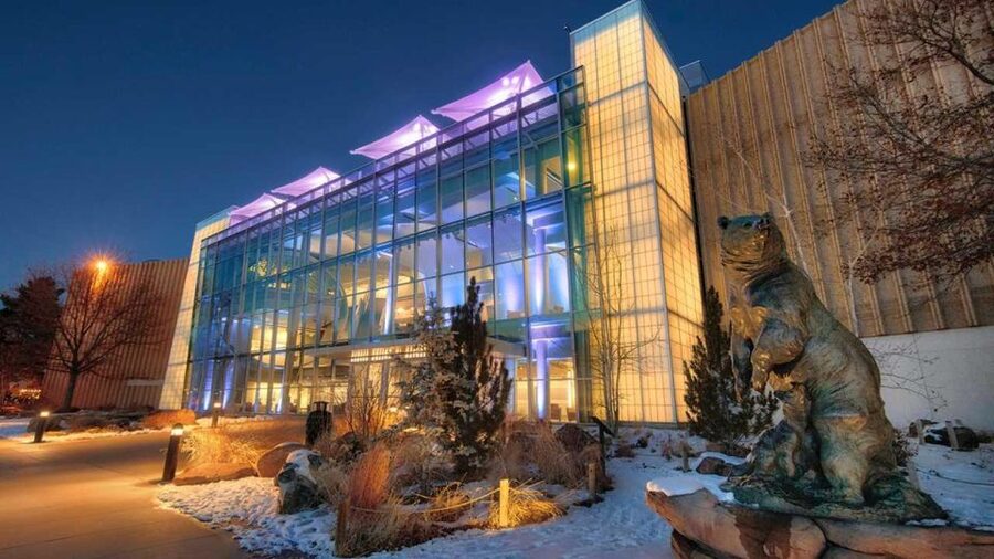 Denver: Museum of Nature and Science Entry Ticket - Should you book the Denver Museum of Nature & Science entry ticket?
