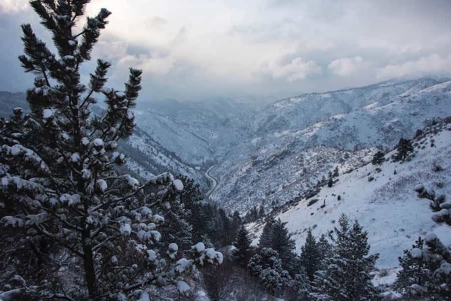 Denver: Red Rocks and Beyond Tour - Expect tight timing, easy strolling, and real viewpoints