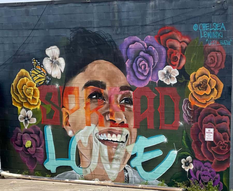 Denver: RiNo Art District Graffiti and Street Art Tour - Where RiNo street art starts to make sense