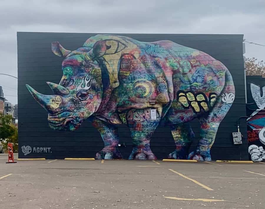 Denver: RiNo Art District Graffiti and Street Art Tour - Walking realities: distance, weather, and what to pack