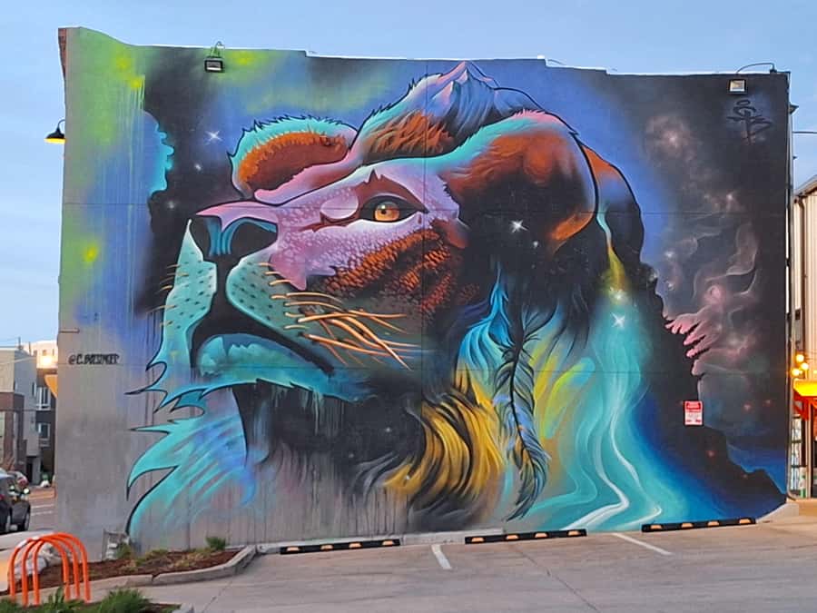 Denver: RiNo Evening Food Tour with a Local Guide - What to bring for RiNo murals (and why timing matters)