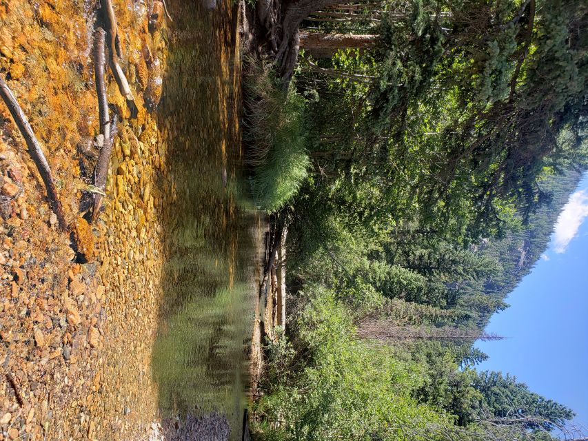 Denver: Rocky Mountain National Park Tour with Picnic Lunch - Key things to know before you go