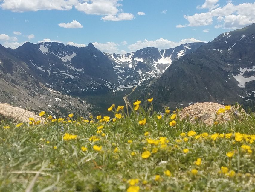 Denver: Rocky Mountain National Park Tour with Picnic Lunch - The picnic lunch: simple, local, and timed well