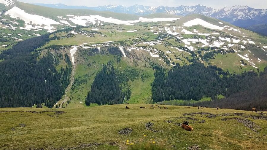 Denver: Rocky Mountain National Park Tour with Picnic Lunch - Wildlife watching without the guesswork