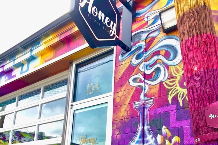Denver Street Art & Murals Tour + Brewery Visit/Beer Tasting - Art Alleyway: seeing murals close up (and noticing what you’d miss)