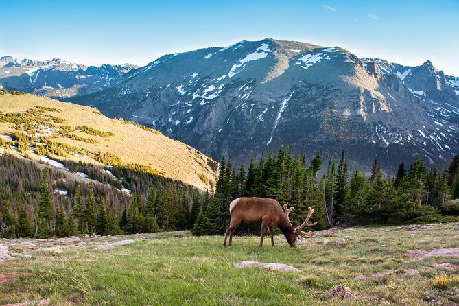Discover Rocky Mountain National Park - Key points worth knowing