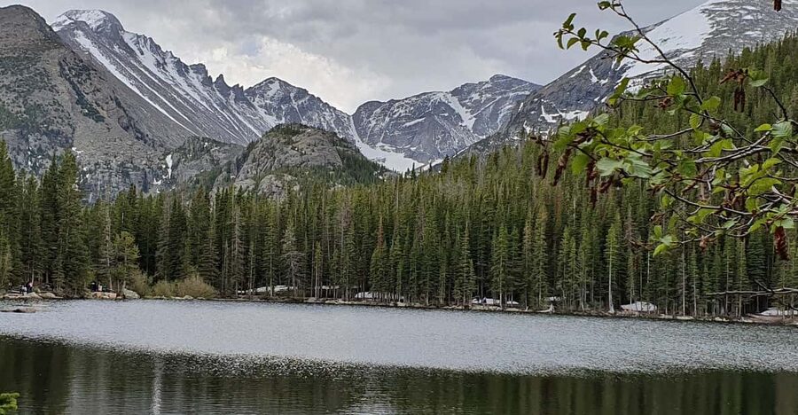 Estes Park: Bear Lake Corridor Tour - Wildlife sightings: how the tour setting boosts your odds
