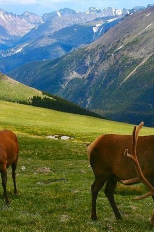 Estes Park: Bear Lake Corridor Tour - Who this Bear Lake Corridor Tour is best for