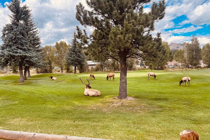 Estes Park Family e-Bike Tour - Guides are the secret ingredient: Robert, Charles, Pete, Ragena