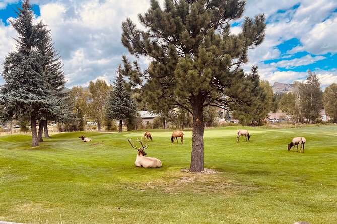 Estes Park Guided E-Bike Tour - Estes Park Town, Lake Estes, and the Riverwalk Rhythm