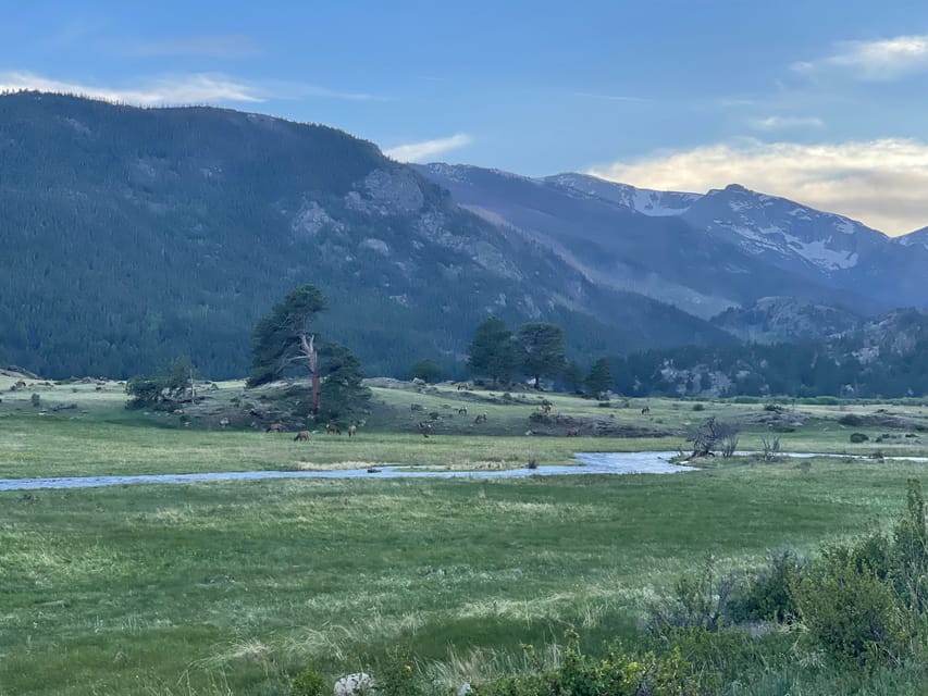 Estes Park: Guided Elk Rut Tour - The elk rut is a schedule, not a surprise