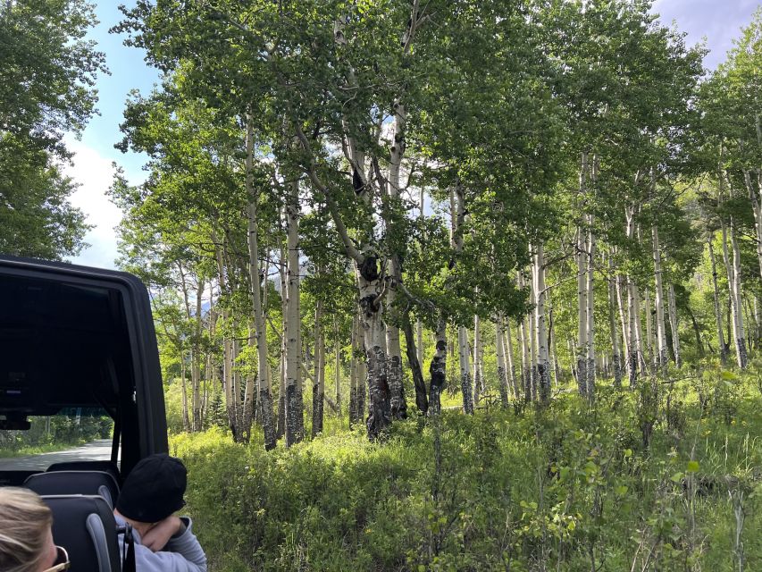 Estes Park: Rocky Mountain National Park Glass-Top Bus Tour - Drinks, snacks, and the altitude “energy tax”