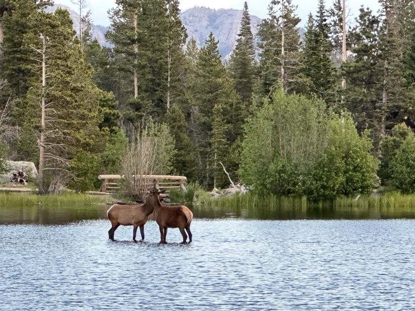 Estes Park: Rocky Mountain National Park Glass-Top Bus Tour - Sunset and Stars: how the evening departure changes the mood