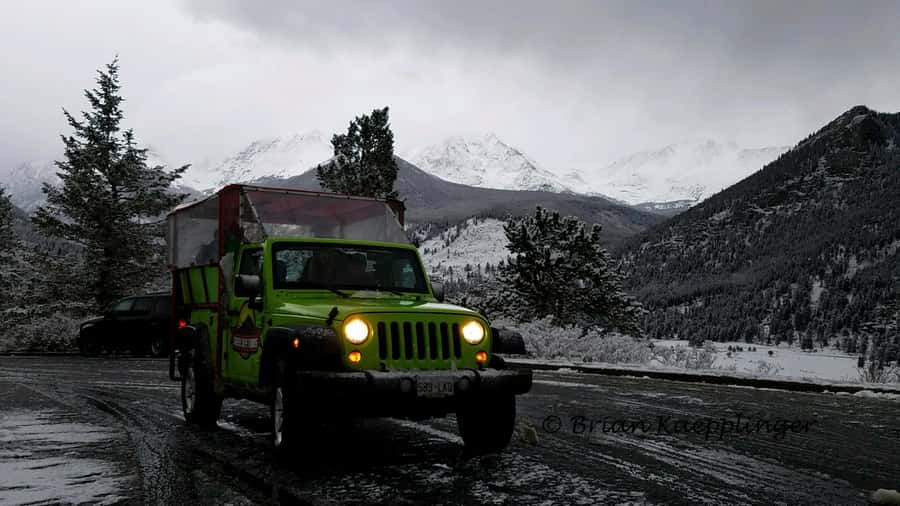 Estes Park: Rocky Mountain National Park Safari Tour - Wildlife Spotting Without the Panic: How the Guide Helps