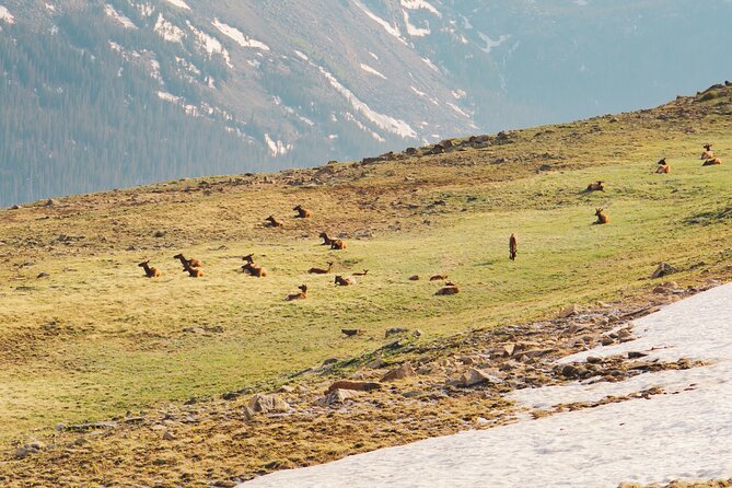 Fall Private Elk Rut Rocky Mountain National Park Tour - Alpine Visitor Center: a quick top-of-the-park break