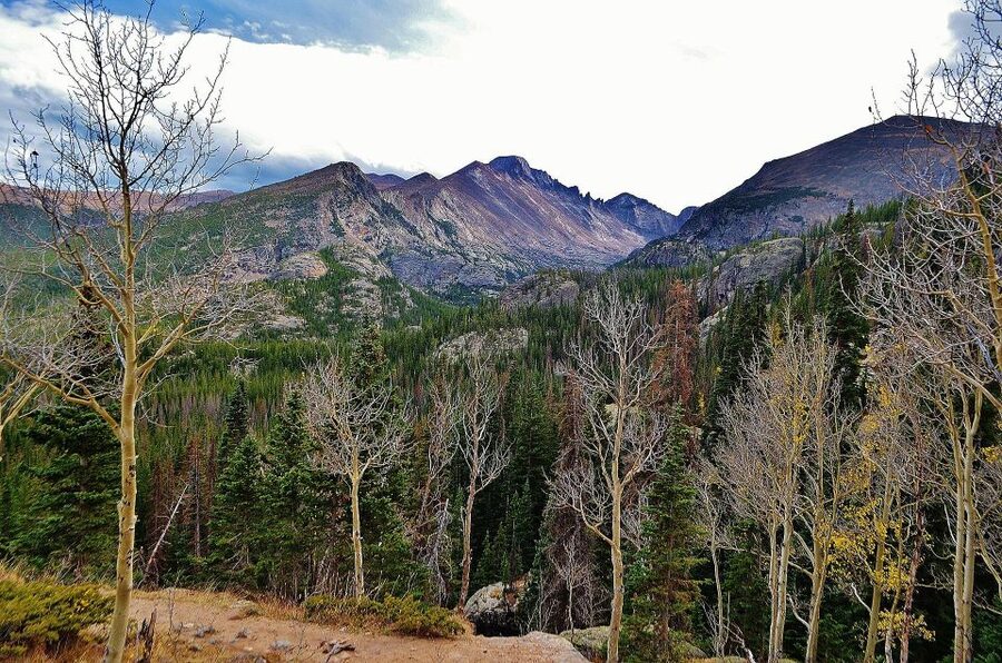 From Denver: Guided Hike in Rocky Mountain National Park - Denver Union Station Meet-Up: The no-fuss start