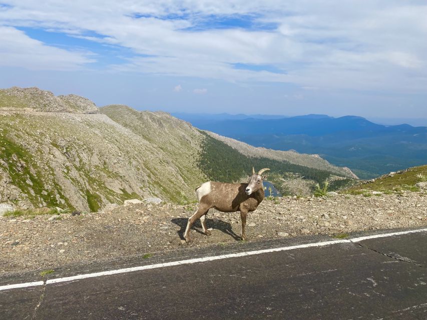 From Denver: Pikes Peak and Garden of the Gods Guided Tour - Lunch, Water Refills, and the Stuff That Actually Matters