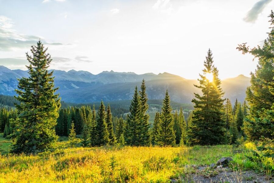 From Denver: Red Rocks and Foothills Half-Day Guided Tour - Key Highlights You Should Actually Care About