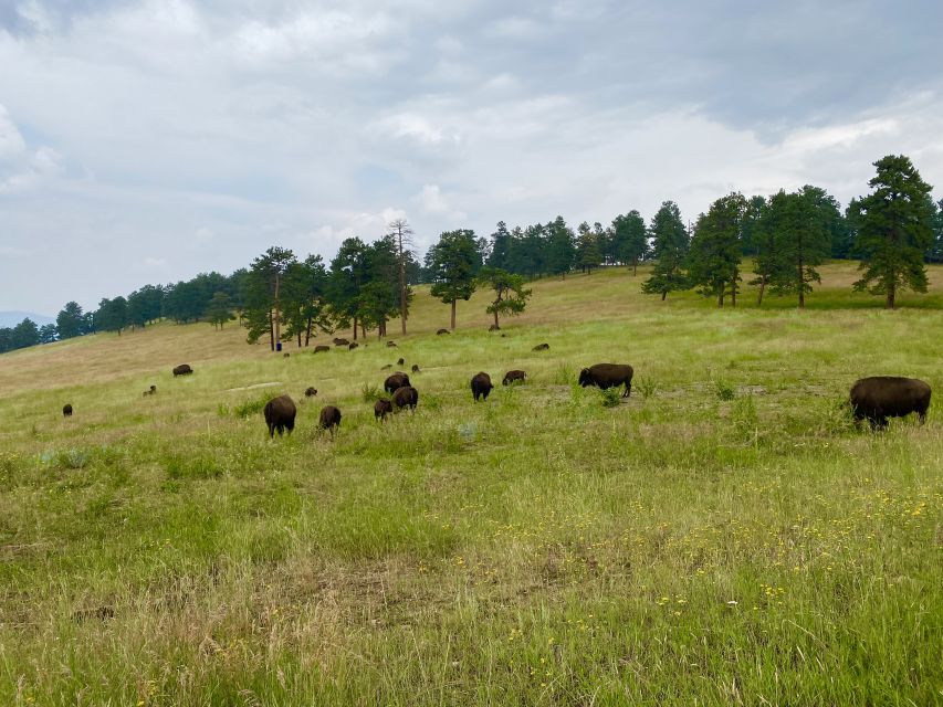 From Denver: Red Rocks and Foothills Half-Day Guided Tour - Denver Union Station to Foothills Views: The Big Advantage of Having a Driver